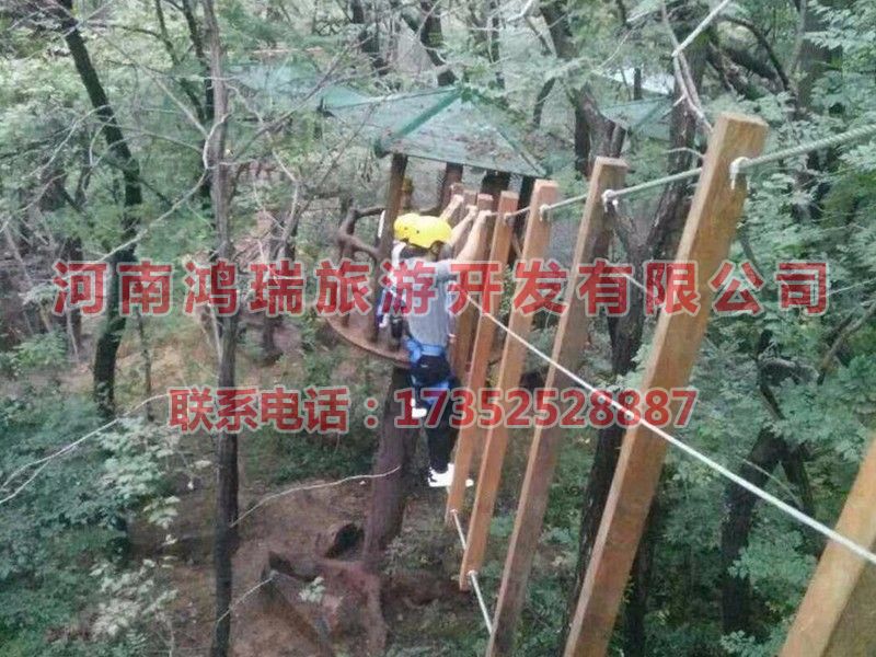 案例展示