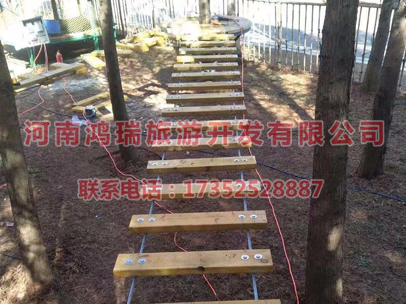 案例展示
